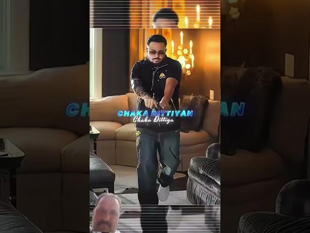 shahzad ansari 220 vlogs