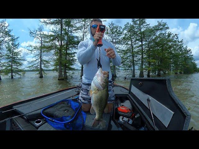 Bass Fishing | Bussey Brake | ShortDeCorte Fishing