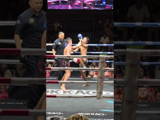 Muay Thai highlights