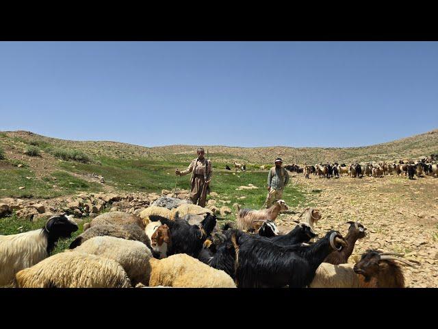 lran nomadic Life: A Journey to the Lush Mountains of Iran on the Impassable Routes of the Zagros