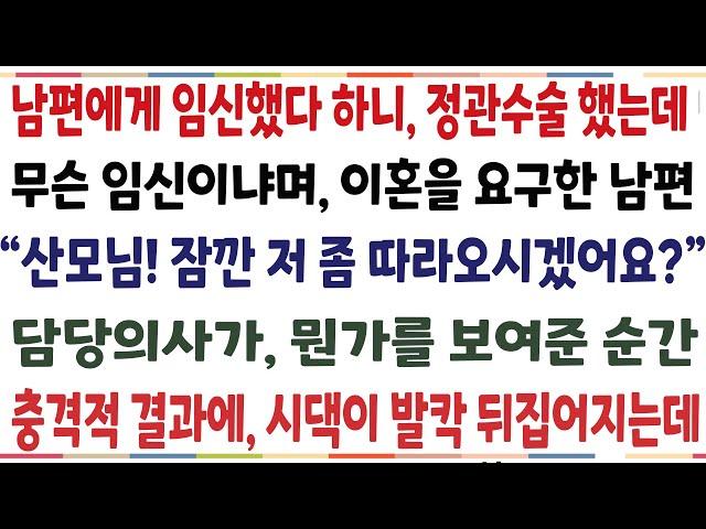 (반전신청사연)결혼 3달만에 임신 판정받고 남편에게 알렸더니 갑자기 무슨 임신이냐며 이혼을 요구하는데 "산모님 저좀 보시겠어요?" 의사가 [신청사연][사이다썰][사연라디오]