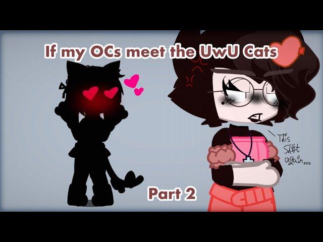 My OCS Meet the UwU Cats (2/2) | GC | ️TW️