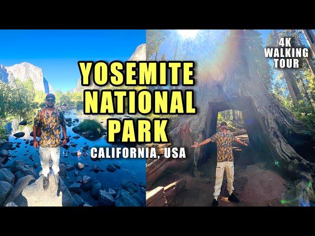 Hiking Yosemite National Park | Full 4K Tour | California, USA