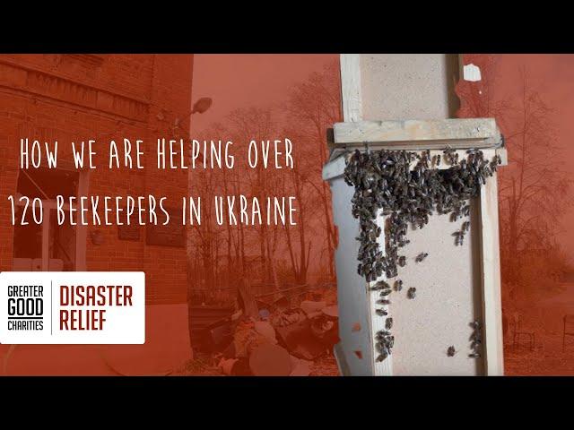 22 Million Bees Sent to Ukrainian Beekeepers!