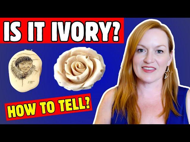 How to Identify Ivory - How to Tell The Difference Between Ivory and Bone