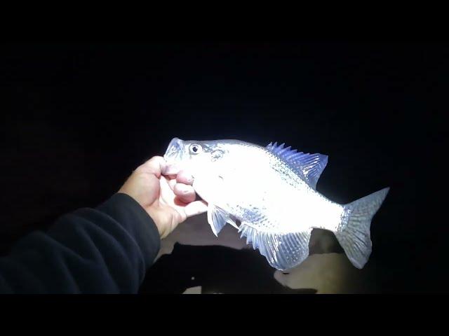 BANK OPEN AFTER DARK, CRAPPIE!!