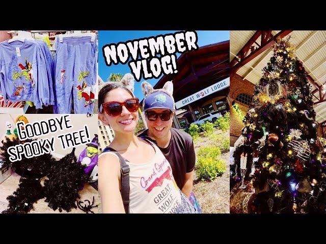 November Vlog! Great Wolf Lodge FL Grand Opening, Goodbye Halloween Decor, TONS of Hauls, & More!