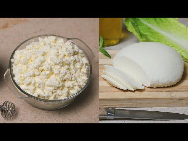 Cottage Cheese Recipe | Homemade Cottage Cheese