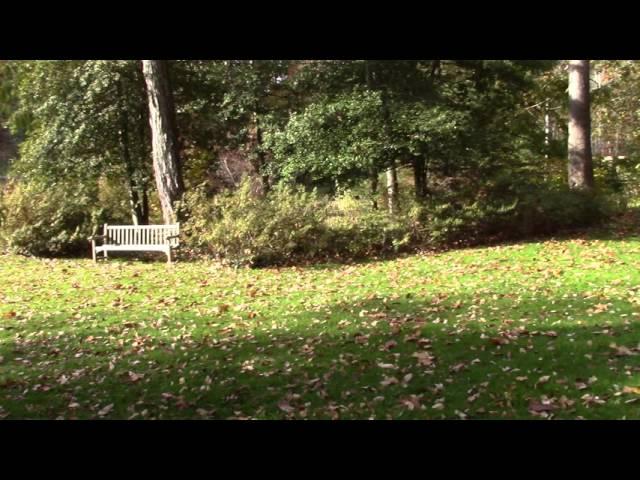 Leonard J. Buck Garden in October