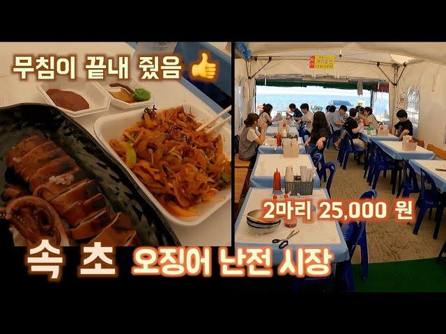 속초 오징어 난전 FT. 2마리 25,000 원 ( 통찜, 무침 )