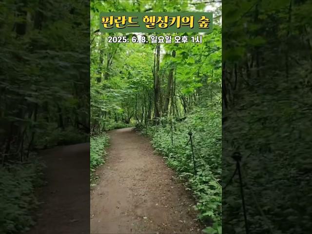 [도시숲] 핀란드 헬싱키의 숲과 나무