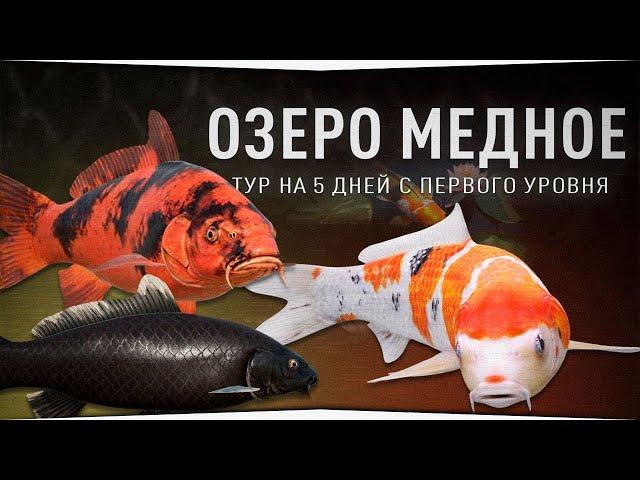 Рыболовный тур на Медное озеро с первого уровня!  • Русская Рыбалка 4