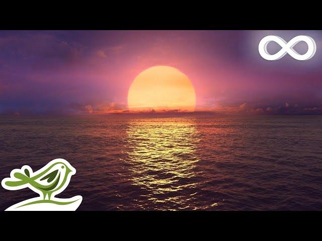 Purple Sunset: Ocean Sounds & Relaxing Sleep Music