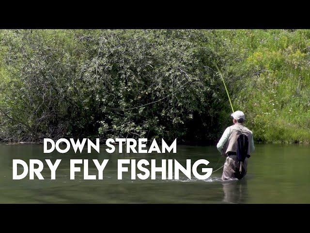 Dry Fly Fishing Down Stream | How To