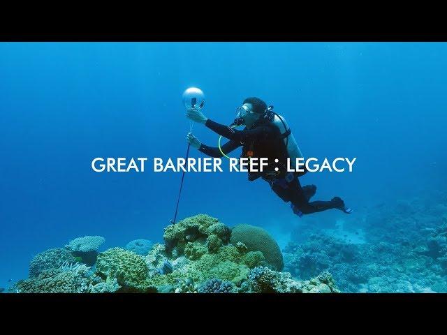 Great Barrier Reef Legacy and LaCie Give a “Reef-Side” View of Coral Spawning