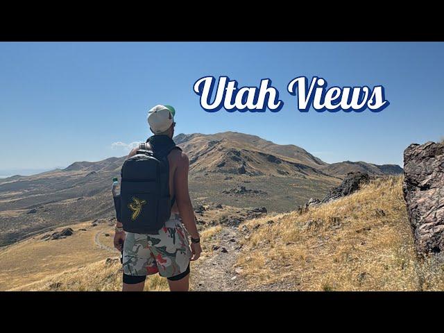 Finding Bison In Utah State Park