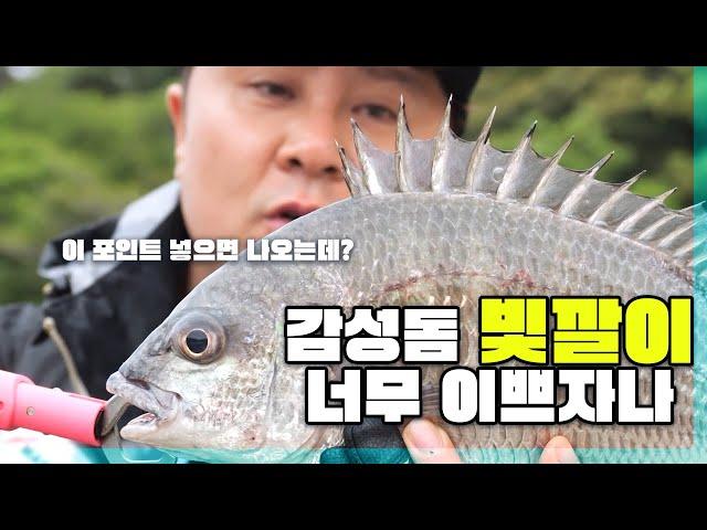 더팩트 36회- 마지막날_던지면 나와주는 포인트!