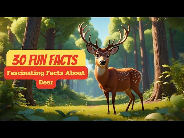 30 Fun Facts : Fascinating Facts About Deer