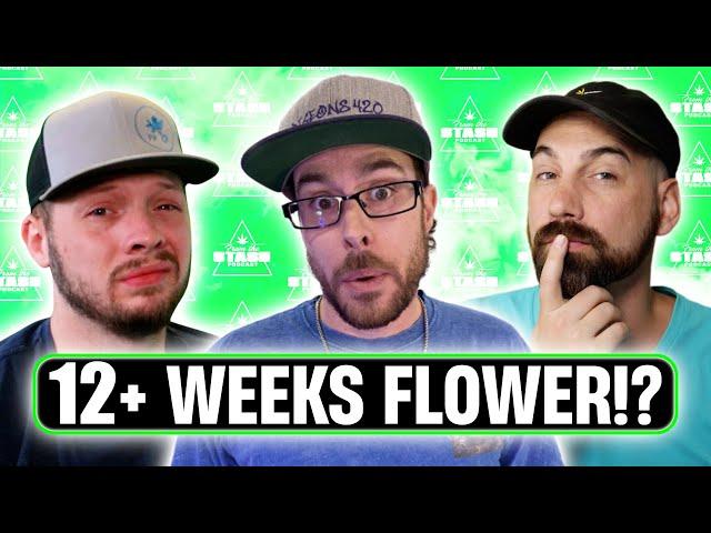 How To Grow Longer Flowering Strains! - From The Stash Podcast Ep. 136