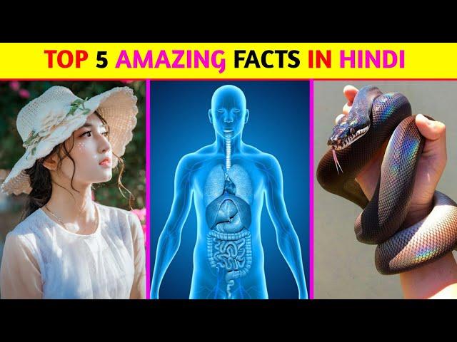 Top 5 Amazing Facts In Hindi | Mind Blowing Facts | Random Facts | Facts In Hindi | #shorts