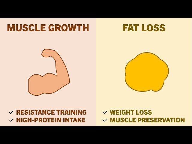 How to Build Muscle & Lose Fat | A Complete Guide