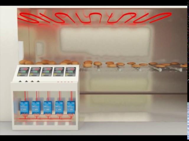 Autonics : Dual-Speed PID Temperature Controllers TZN Series