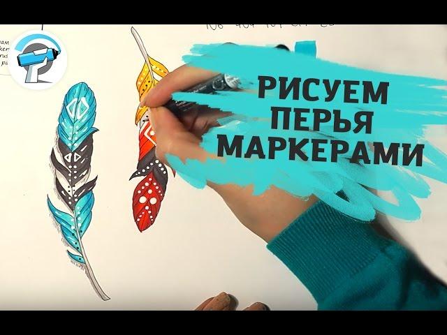 КАК НАРИСОВАТЬ ПЕРЬЯ МАРКЕРАМИ | Уроки Рисования Маркерами от ARTMARKER.RU