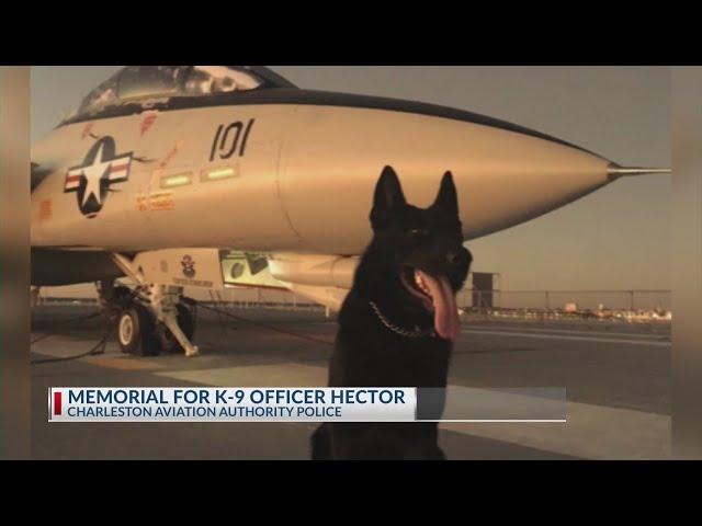 Charleston County Aviation Authority mourns passing of K-9 officer