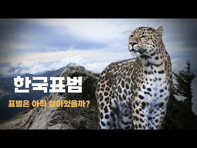 Korean Leopard History