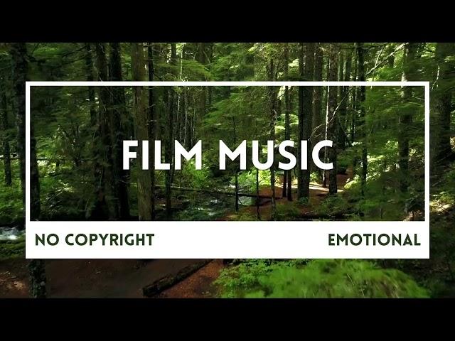 Michael Kobrin The Introvert  - Film Music (No Copyright)