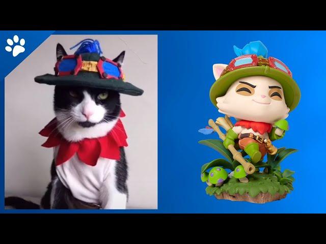 TEEMO - LOL - League of Legends - He is a CUTE CAT #Shorts