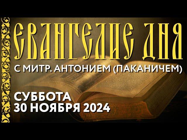 Толкование Евангелия с митр. Антонием (Паканичем). Суббота, 30 ноября 2024 года.