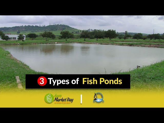 #3 Types of Fish Ponds || Fish Farming