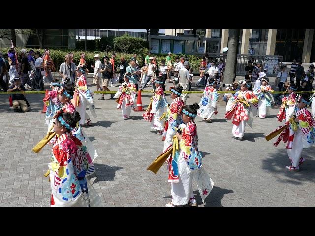 [4K]天空しなと屋明星~虹のあーち~原宿表参道元氣祭スーパーよさこい2018 NHK前ストリート