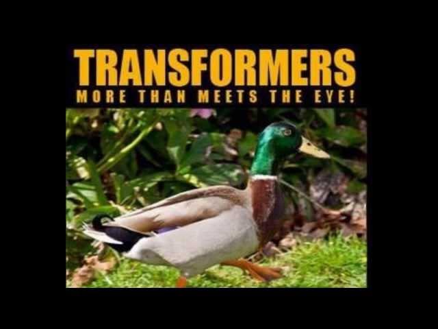 Transformer Ducks