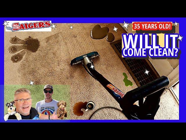 Can We Get this 35 Year Old Trashed Apartment Carpet Clean Again?