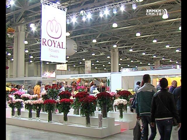 В МВЦ «Крокус экспо» проходит международная выставка цветов