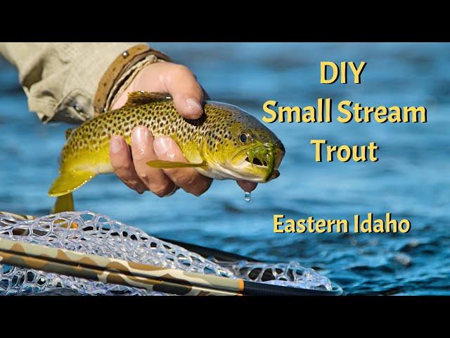 DIY Small Stream Trout - Eastern Idaho