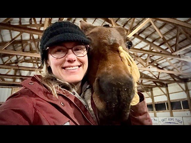 Meet The Horses - Part 8, Sally