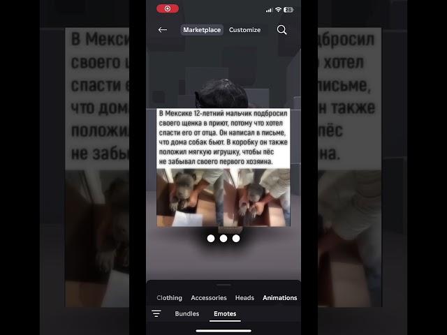 …#безслов #бедный #щенок #жалко #животное #приют #история #новости #новое #недавно#жалко #…