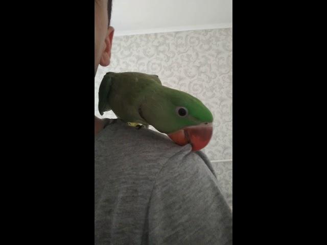 Алексы часть 7