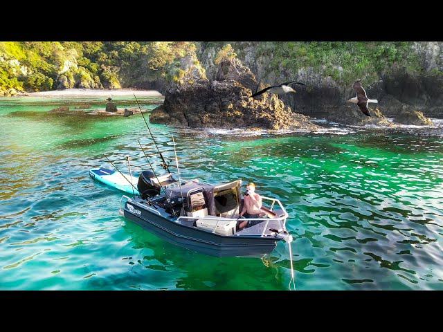 SOLO Camping Eat what I Catch [ fishing & spearfishing Rarest Fish Found!! ]