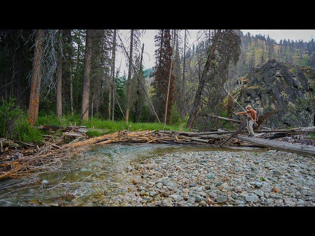 Couldn’t Stop Catching 20+ Inch Bull Trout | Backpacking Fly Fishing