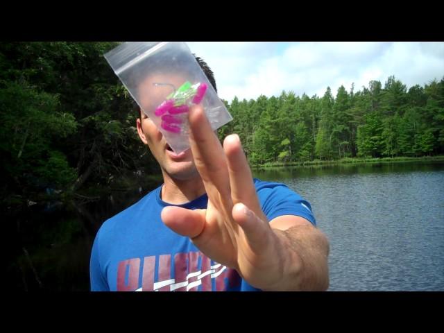 Crappie Fishing Tips - The Only 4 Crappie Baits That Matter