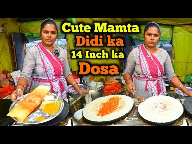 Cute & Smart Mamta Didi ka 14 Inch Dosa | 300 Dosa Aur 500 Idli Sale everyday | Indian Street Food