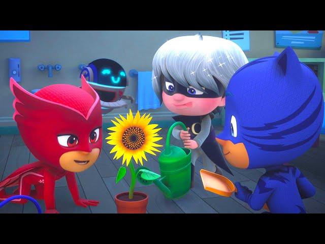 PJ Masks get turned into Babies!  PJ Masks Official