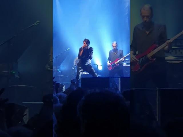 Suede, Albert Hall Manchester