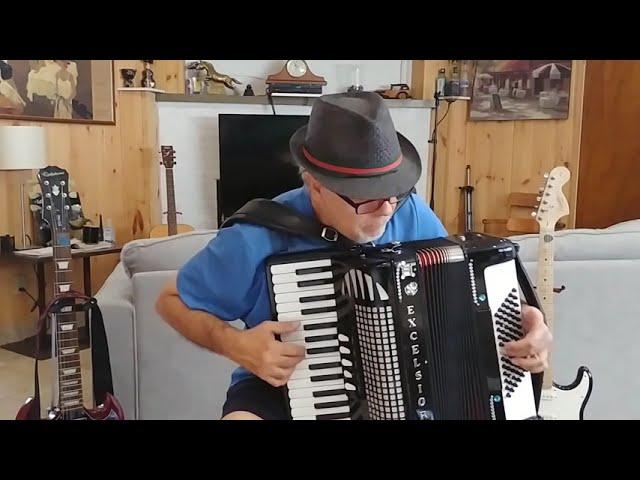 Despacito - Accordion Akordeon Accordeon Fisarmonica Accordeon. UNPLUGGED  Cover by Biagio Farina