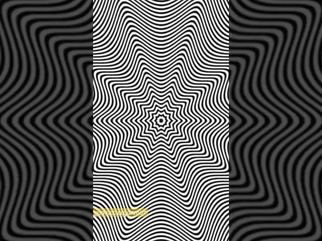 I found a REAL Optical IIlusion#shorts
