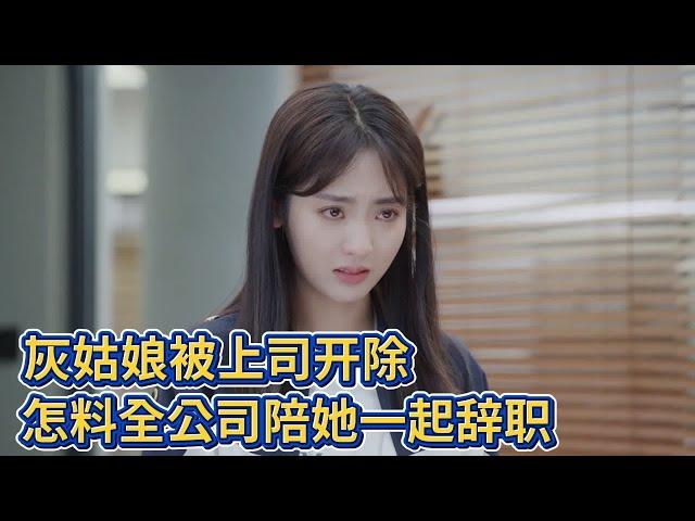 【Movie】Cinderella fired by boss, yet all coworkers resigned with her!